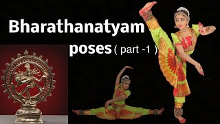 Bharathanatyam Poses  Part  1  Natyaranjani School Of Bharathanatyam [upl. by Isnam622]