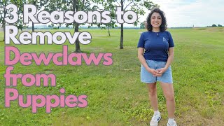 3 Reasons to Remove Dewclaws from Puppies [upl. by Eidda729]