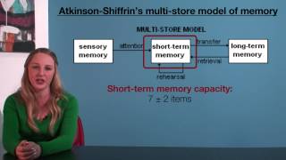 VCE Psychology  AtkinsonShiffrins MultiStore Model of Memory [upl. by Hetty24]