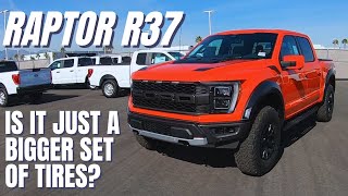 Ford Raptor R37 Package  Worth it [upl. by Eikram723]