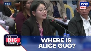 TBS  Alice Guo fled to Malaysia — Sen Hontiveros [upl. by Notlem140]