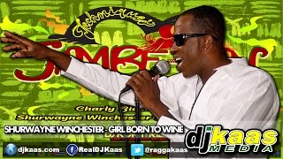 Shurwayne Winchester  Girl Born to WineJuly 2014JambeAn Riddim  Techniques Rec  Soca [upl. by Philbert]