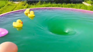 Ducklings VS whirlpool Whirlpool experiments Whirlpool Video [upl. by Ibrab7]