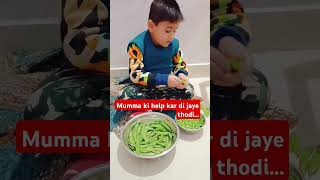 Mumma ki help kar di jaye thodi vivanvlog ytshortsvideo kabutarisong [upl. by Inanak487]