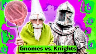 Tiny Green Wizard Gnome vs Knights Explained [upl. by Maclean163]