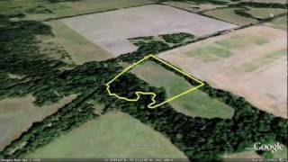 5 acres Texas Land for Sale 0 down 500 Monthly Owner Financing [upl. by Ilocin730]