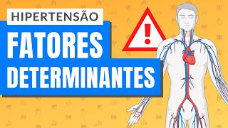 HIPERTENSÃO  PARTE 1 Fatores determinantes [upl. by Perseus]