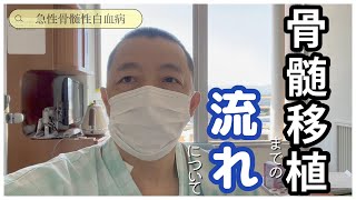 【白血病】骨髄移植するまでの治療や流れを詳しく説明します【抗がん剤】 [upl. by Aelak]