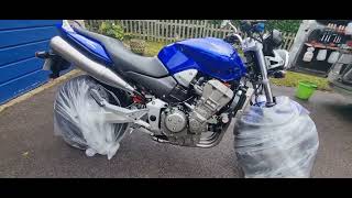 Honda Hornet 900 Winter Protection acf50 ceramiccoating sussexmotorcyclevalet [upl. by Sadnalor]