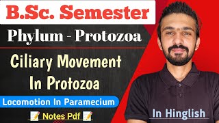 Ciliary Locomotion In Paramecium  Phylum  Protozoa  Bsc Semester  By Dadhich Sir [upl. by Gilchrist]