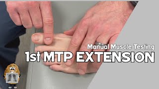 MMT 1st Metatarsophalangeal MTP Joint Extension Manual Muscle Test [upl. by Atikkin]