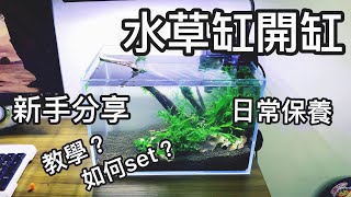 水草魚缸開缸！新手分享！魚缸日常維護 [upl. by Alexina176]