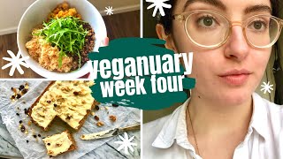 Veganuary 2021 week 4  Vegan Carrot Cake recipe [upl. by Guglielmo]