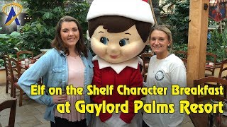 Elf on the Shelf Character Breakfast at the Gaylord Palms Resort [upl. by Nakada93]