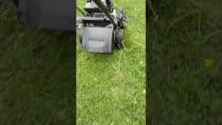 She blows it out both Holes 🤠🤠🤠🤠grass cutting wiebang [upl. by Suzy]