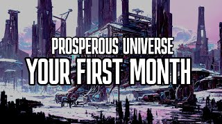 Navigating Your First Month in Prosperous Universe 2023 [upl. by Darleen244]