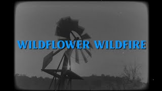 Lana Del Rey  Wildflower Wildfire Lyric Video [upl. by Abrahamsen]