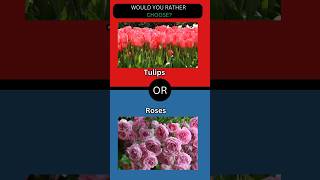 What would you rather choose [upl. by Ollayos]