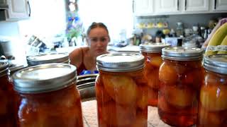 Preserve nectarines and tomatoes canning and freezing without trying that hard [upl. by Benoit]