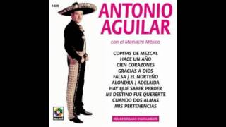 Falsa Antonio Aguilar [upl. by Ecirtael]