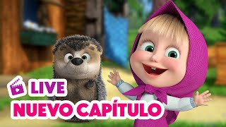 🔴 LIVE 🐻👧 Masha y el Oso 💥 NUEVO CAPÍTULO 🎃😱🦔 Alguien llama 🎬 Masha and the Bear [upl. by Erehc]