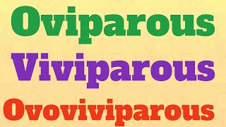 OviparousViviparousOvoviviparousBiology [upl. by Sydalg]