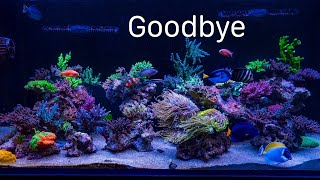 Saying Goodbye To My SPS Dominated Reef [upl. by Attah]