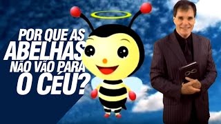 Por que as abelhas não vão para o céu [upl. by Fuchs436]