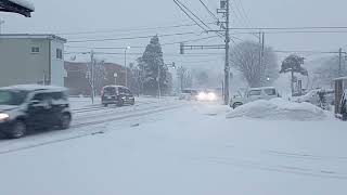 福井県大野市、雪で一面真っ白に 2023年1月24日 [upl. by Kathlin]