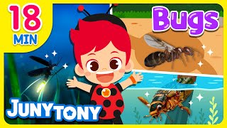 What Is Your Favorite Insect  Bugs ABC Mosquito Song 18minutes  Insect Songs for Kids JunyTony [upl. by Ainirtak979]