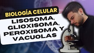 BIOLOGÍA CELULAR LISOSOMA PEROXISOMA GLIOXISOMA y VACUOLA [upl. by Hairas989]