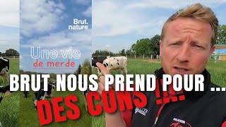 FACT CHECKING vidéo BRUT sur le lait [upl. by Zug]