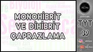 10 Monohibrit ve Dihibrit Ã‡aprazlama [upl. by Cantone868]