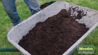 How To Repair Lawn Patches With Garden amp DIY Expert Brian Burke [upl. by Rahal]