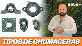 TIPOS de CHUMACERAS  BIOSATIPS 5 [upl. by Fong]