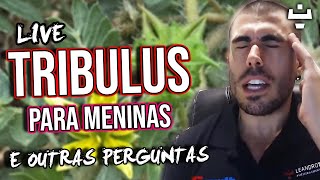 TRIBULUS TERRESTRIS PARA MULHER  E OUTRAS PERGUNTAS DE VOCÊS LIVE [upl. by Chavey]