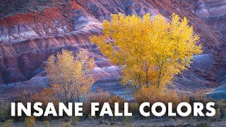 Photographing INSANE Fall Colors in Utah  ENTIRE WORKFLOW [upl. by Ataymik928]