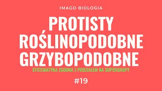 Protisty roślinopodobne i grzybopodobne wraz z ich systematyką [upl. by Vanzant920]