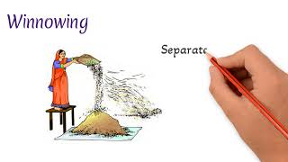 Methods of separation  Handpicking  Threshing  Winnowing  Sieving  Learn to Remember [upl. by Anaibaf454]