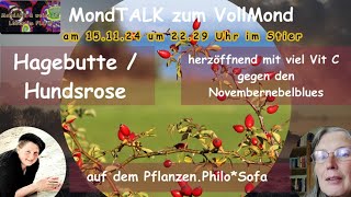 MondTalk zum Vollmond  Im Gespräch mit Nana Mara auf dem PflanzenPhiloSofa  Hagebutte Hundsrose [upl. by Epul213]