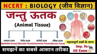 जंतु ऊतक। Animal tissue in hindi । jantu utak । Biology ।competition only । महत्वपूर्ण ऊतक [upl. by Polik361]