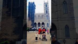 NotreDame Basilica Montreal 🇨🇦 minivlog canadalife travel dailyvlog bengalivlog [upl. by Anelegna]