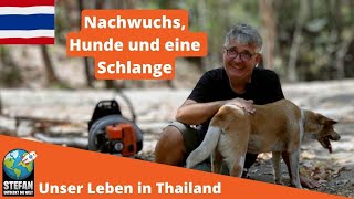 Nachwuchs auf der Farm Eure Spenden zu den Hunden gebracht amp eine Schlange gesehen  Ein guter Tag [upl. by Roseanna625]