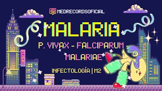 MALARIA PALUDISMO  Plasmodium vivax malariae falciparum  Clínica Diagnóstico Tratamiento  INFECTO [upl. by Notyad113]