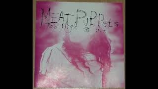 Meat Puppets  Backwater  432Hz HQ lyrics in description [upl. by Linehan38]