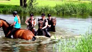 Zwemmen met paarden cross training CAH Vilentum bij De Schalm Renswoude  22052014 [upl. by Vittoria]