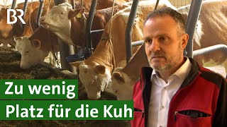 Kühe in Anbindehaltung Wenig Platz für große Tiere  Unser Land  BR [upl. by Drice]