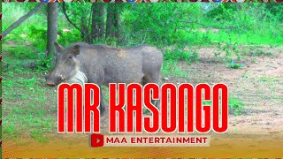 MR KASONGO V16 [upl. by Milurd]