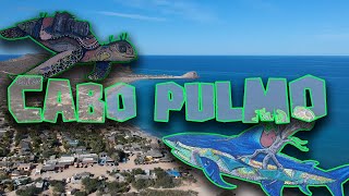 Cabo Pulmo [upl. by Terrye]