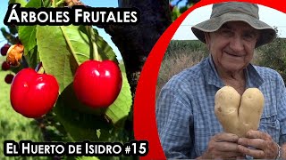 El huerto de Isidro 15 Árboles frutales [upl. by Nauqe]